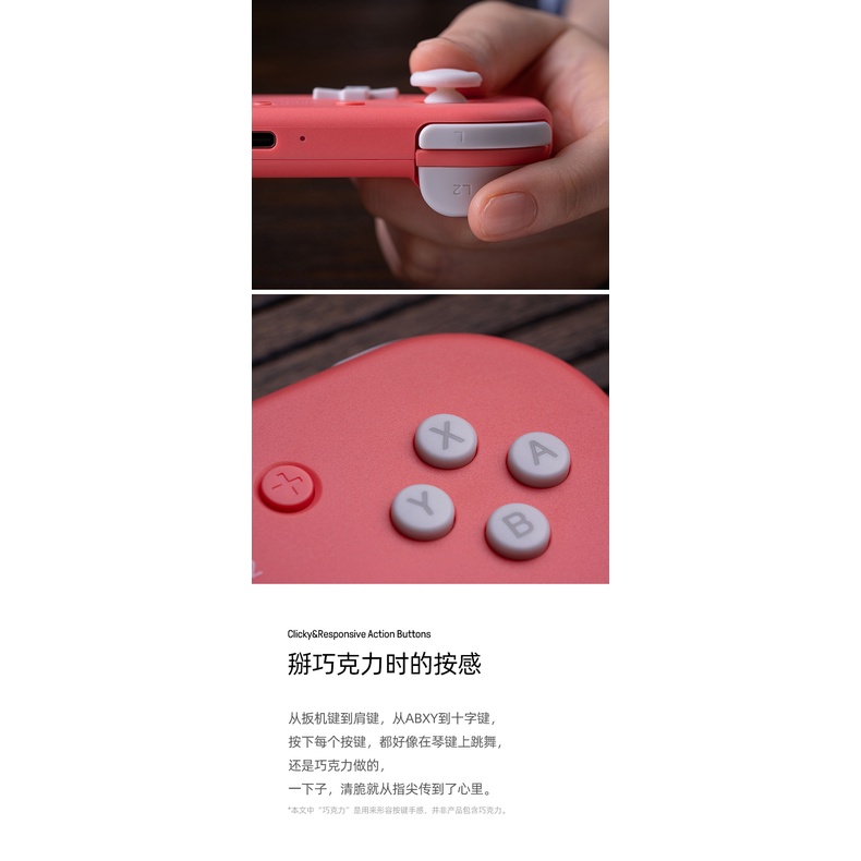 Tay CầM ĐiềU KhiểN Bluetooth 8BitDo Lite 2 Cho Switch Lite Raspberry Pi Android Windows