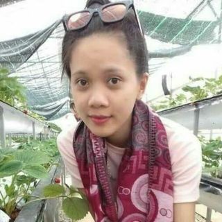 trinhtuntin