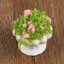 Phụ kiện nội thất nhà búp bê 1: 12 Chậu hoa cây xanh