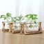 VVDZA Bình Thủy Tinh Trang Trí Terrarium Để Bàn Chậu Hoa