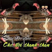 chatdangduy