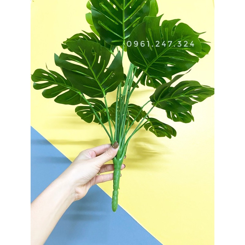 cây giả - cây lá rùa monstera 50cm,60cm (ảnh thật shop tự chụp 100% ...