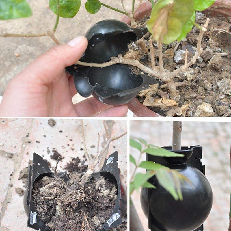 Hộp rễ cây Thiết bị ghép bóng nhân giống áp suất cao Vườn ghép rễ cây Bộ điều khiển S, Đen x 10