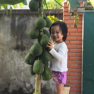 nguyenlananh1710