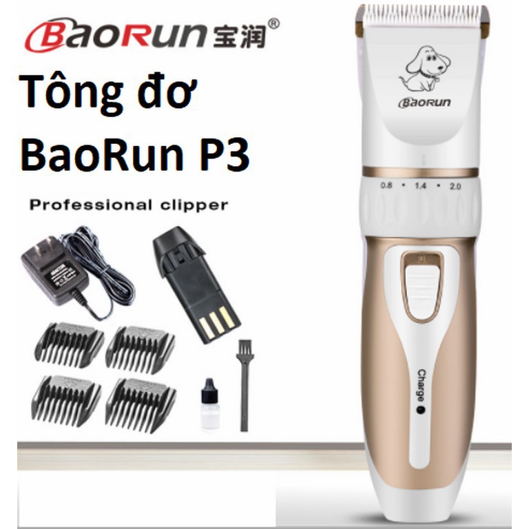 Baorun p3 2024