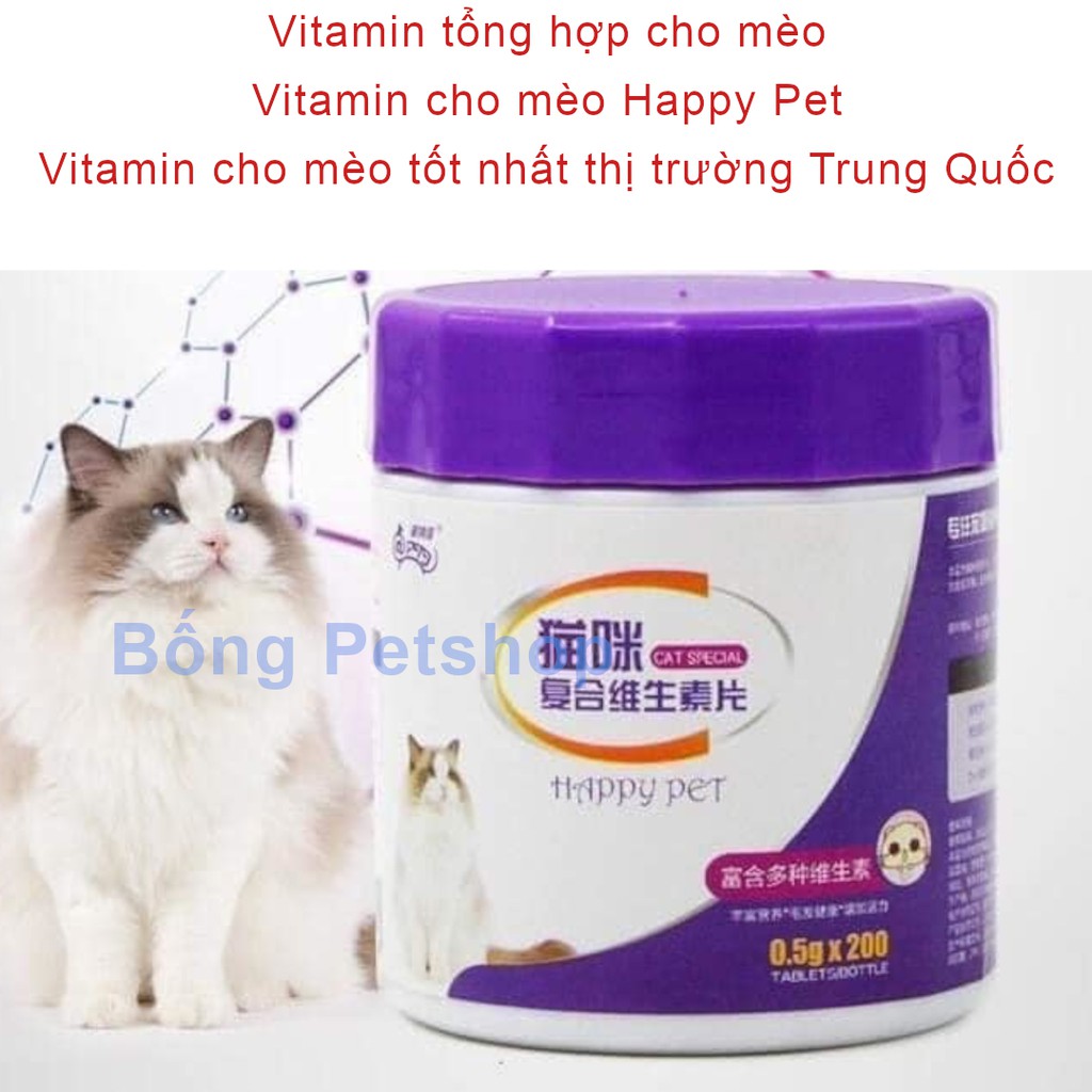 Cách Chọn Mua Vitamin Tổng Hợp Cho Mèo