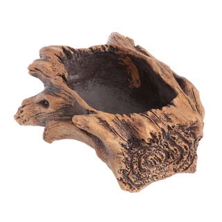 Chậu trồng cây mọng nước bonsai bằng xi măng giả gỗ trang trí đẹp mắt