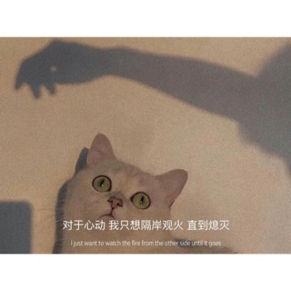 mimimimi123_