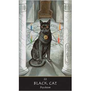Bộ Bài The Witches' Oracle (Mystic House Tarot Shop) - Bài Gốc Authentic Chính Hãng 100%