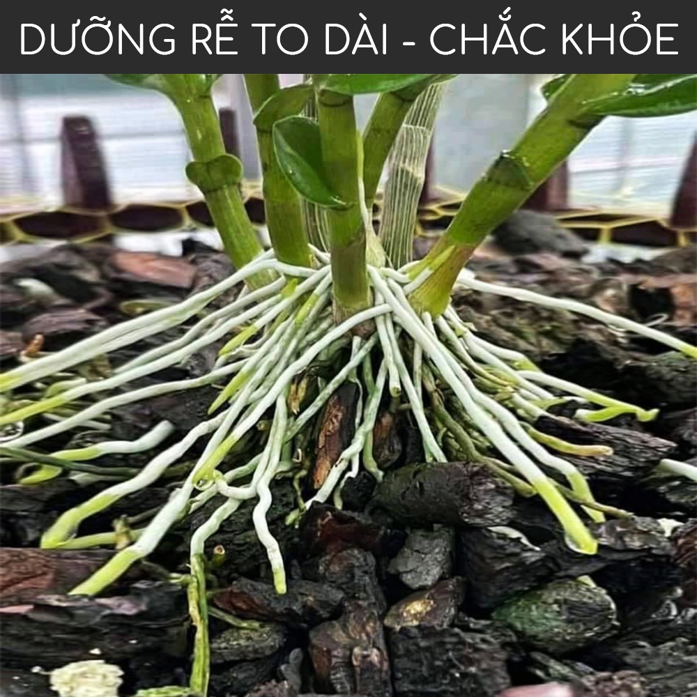 Ảnh Phân bón kích rễ BioRoot DOCNEEM rễ khỏe vượt trội, dinh dưỡng tối ưu, dùng cho hoa lan, cây cảnh, 500ml 3
