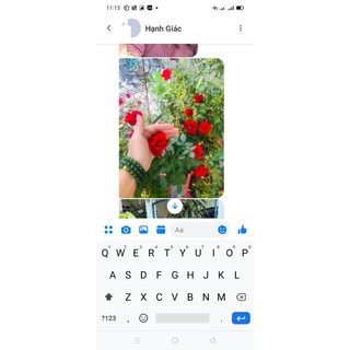 DỊCH CHUỐI ĐẬM ĐẶC - PHÂN BÓN HOA HỒNG - VƯỜN HỒNG ĐỨC LINH