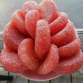 Cây giống bưởi da xanh ruột hồng không hạt vị chua ngọt thanh .