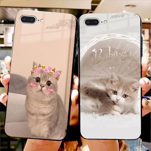 Ốp Lưng iPhone Mèo Dễ Thương Ngố Tàu