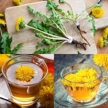 Trà Bồ Công Anh túi lọc - 36 túi lọc - Hữu cơ - Từ Đà Lạt
