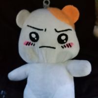 thaiori