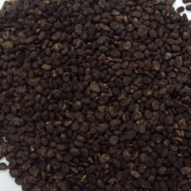 Phá cố chỉ khô thượng hạng JINDO 1kg