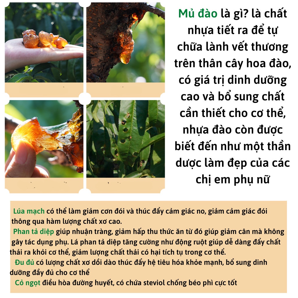 [Thải mỡ toàn thân] Trà túi lọc tiêu mỡ bụng giúp đốt cháy mỡ bụng, đùi, bắp tay, chân, giúp cơ thể thon gọn, săn chắc