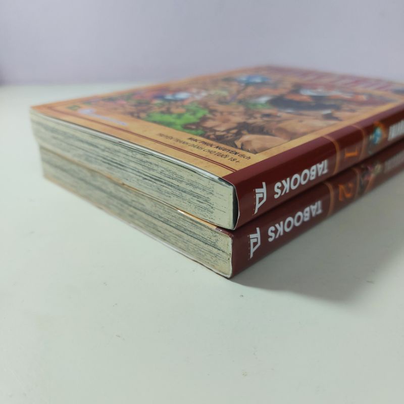 Ảnh Truyện - Fairy Tail Tập 1, 2 1