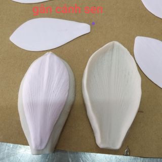 GÂN SILICON CÁNH SEN