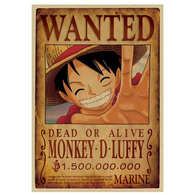Poster One Piece - Lệnh Truy Nã Robin - TeenBox