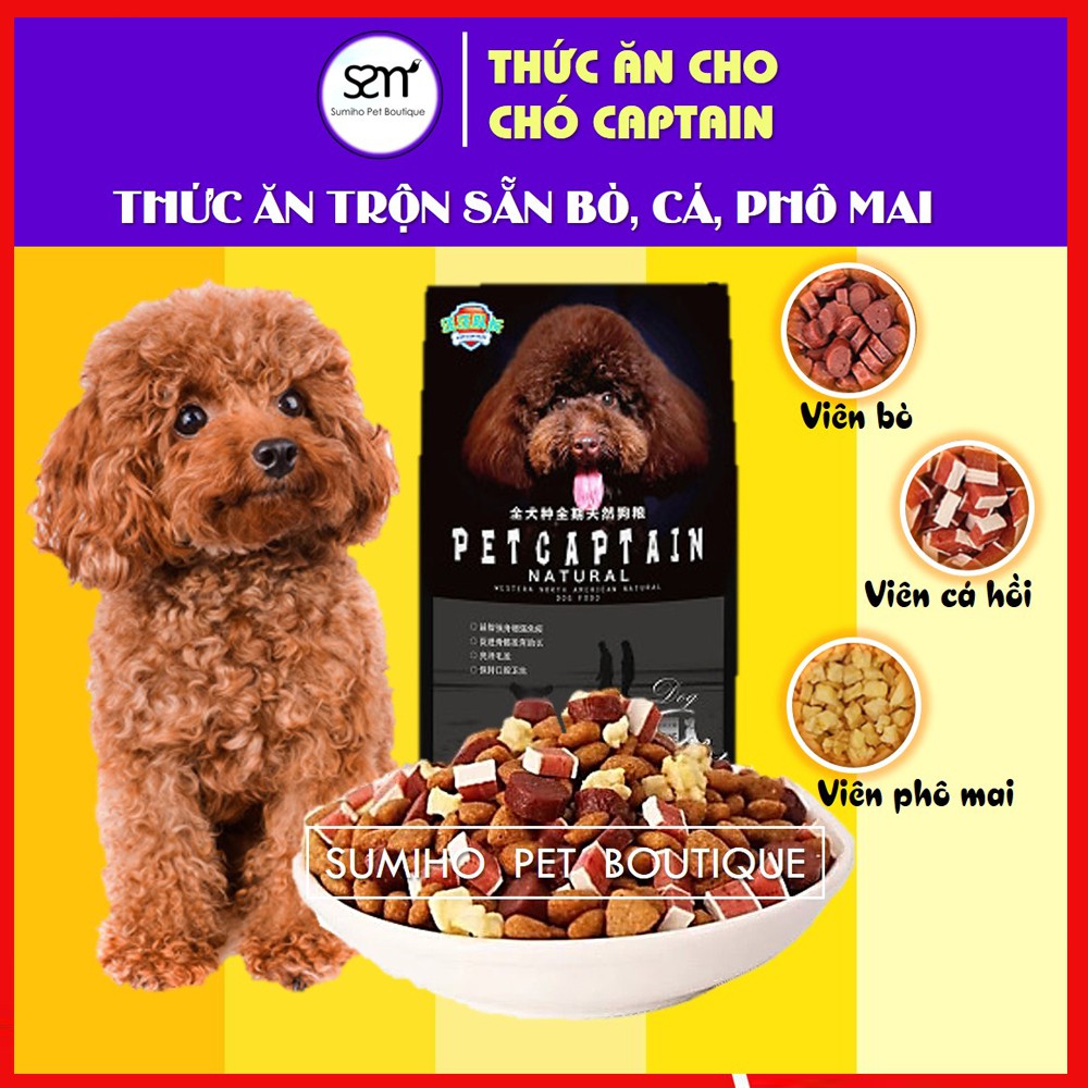 Hạt cho chó mix topping các loại Dong Pet (đặc biệt dành cho cún kén ăn ...