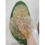 cá bò khô loại 1 LÁT TO ĐÀ NẴNG size 17 cm
