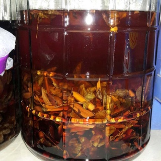 1 thang A MA KÔNG TÂY NGUYÊN bổ dương ( lOẠI 12 VỊ 1KG)