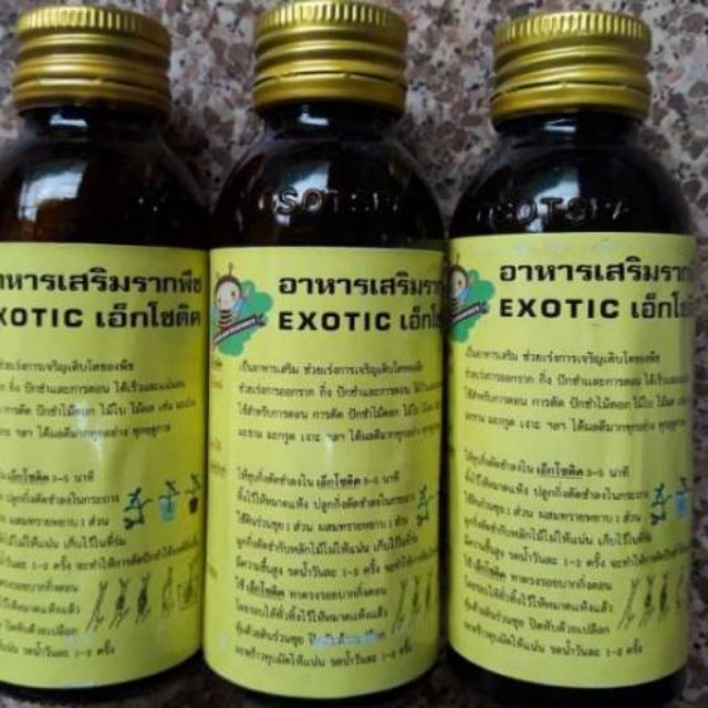 Kích rễ Thái Etoxic | Shopee Việt Nam