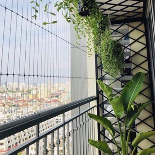 tieuanh305