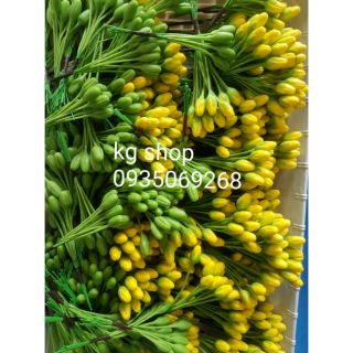 Combo Nụ mai đất sét