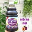 Nước ép mận nguyên chất Taylor Plunes Juice - không đường, hỗ trợ tiêu hoá, mát gan, chống táo bón