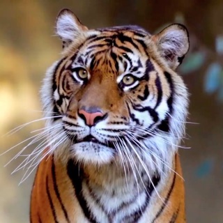 hatrongduc97