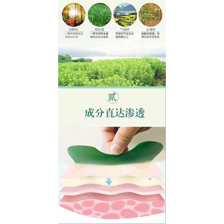 Hộp 12 Miếng Dán Ngải Cứu Vai Gáy Giảm Đau Cổ Vai Gáy, Thải Độc