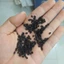 Phá cổ chỉ khô thượng hạng JINDO 1kg