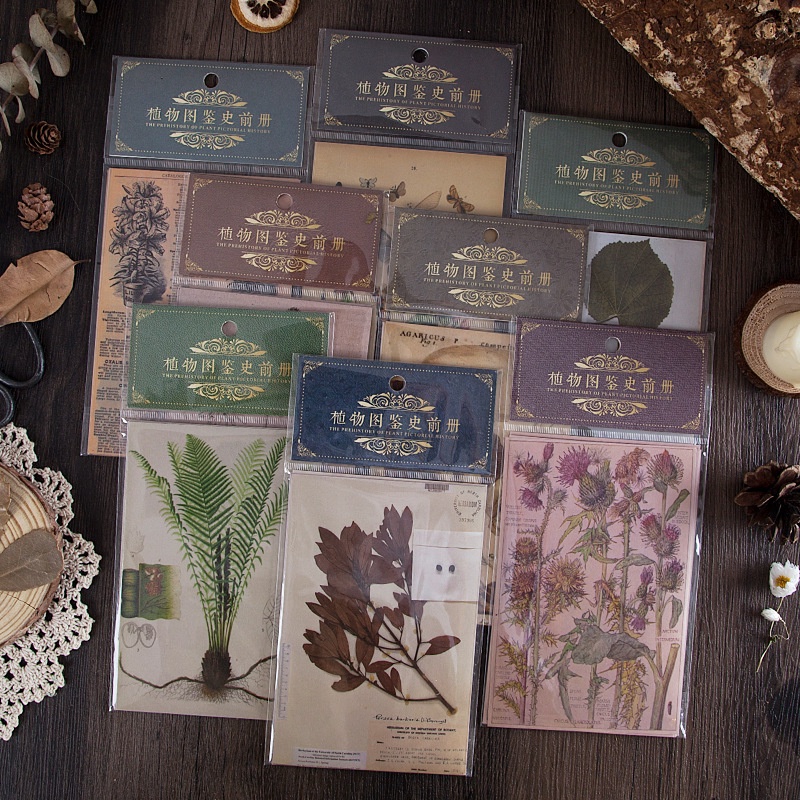 Sticker và giấy nền vintage set 10 tấm dán sổ tay DIY Crafts, Scrapbook, Journal, Diary, Planner HD233 - K78.