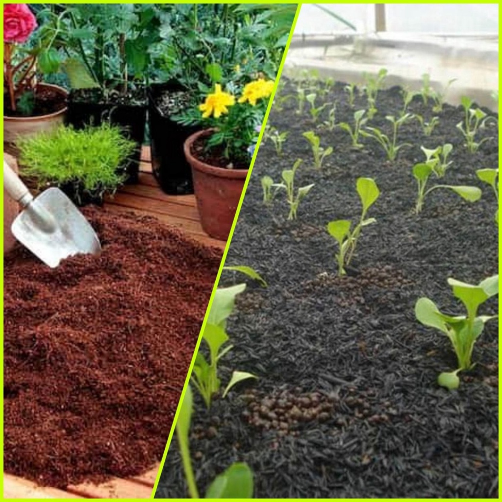 Túi 3dm3 mụn xơ Dừa, Trấu hun (giá thể, vỏ trấu hun, than trấu) dùng ...