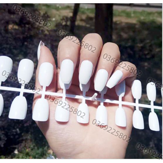 Móng sơn sẵn set 24 cái (đủ size)