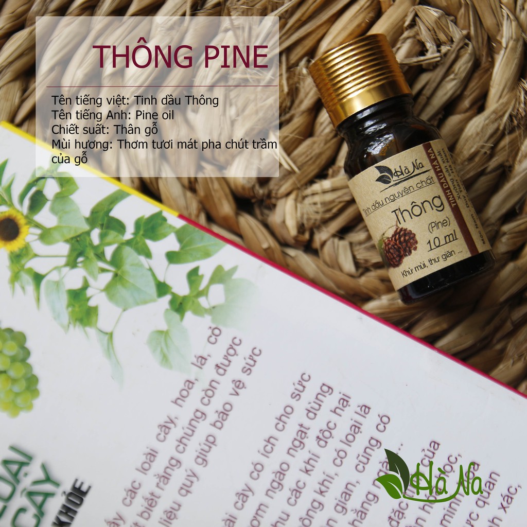 [HOT] Tinh Dầu Thông Nguyên Chất 100% – Khử Mùi, Xua Đuổi Côn Trùng, thơm nhà của