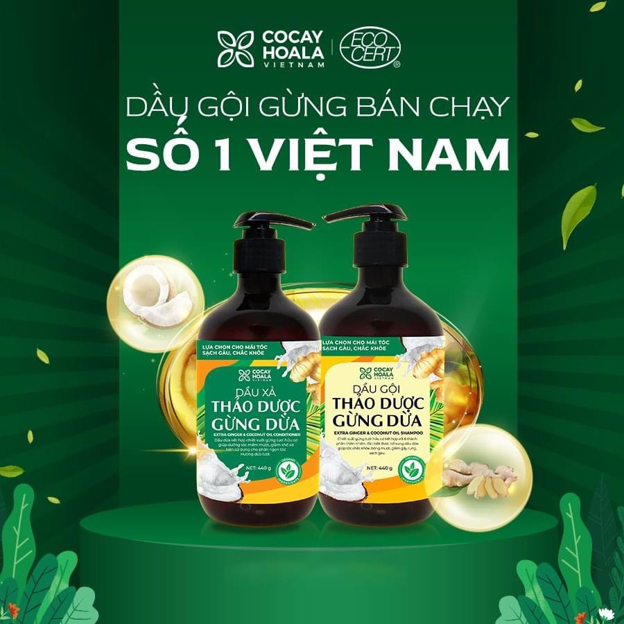 (Đã bán 22) (MUA 2 CẶP TẶNG KHĂN TẮM) Combo gội + xả cặp dầu gội Thảo dược Gừng Dừa Hữu cơ cocayhoala 880ml