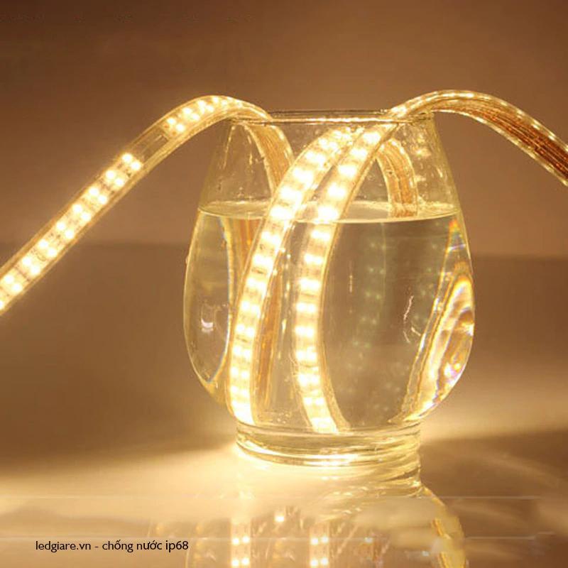 Đèn Led dây đôi trang trí 2835 siêu sáng 2 hàng ( Đơn giá / 1 mét ...