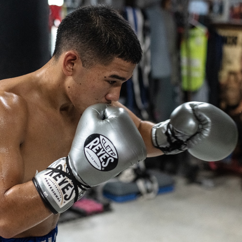 Găng tay Boxing Cleto Reyes Professional - Sliver | Shopee Việt Nam