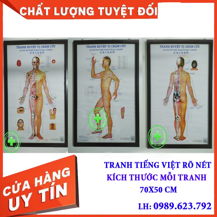 Tranh huyệt vị châm cứu có an toàn không?
