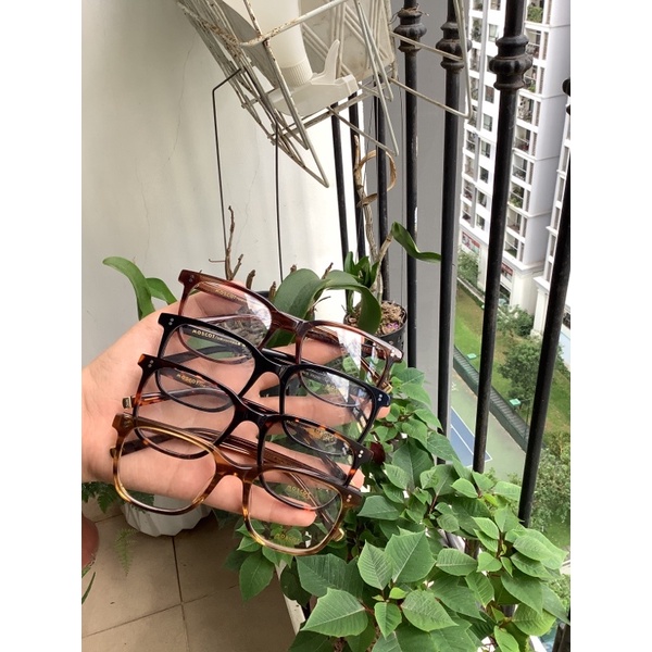 Gọng kính Moscot Travis | Shopee Việt Nam
