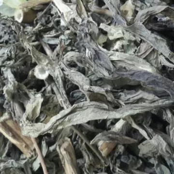 1kg cây bồ công anh khô