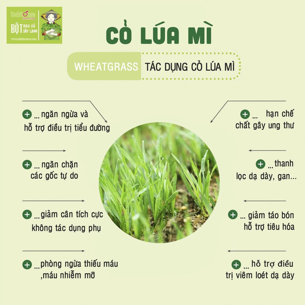 Mô tả Bột cỏ lúa mì nguyên chất Dalahouse hỗ trợ tiêu hóa, giảm táo bón, thải độc gan và máu, bệnh tiểu đường hộp 60 gr - 2