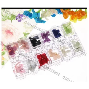 Set 12 mẫu HOA KHÔ NB cánh to trang trí móng