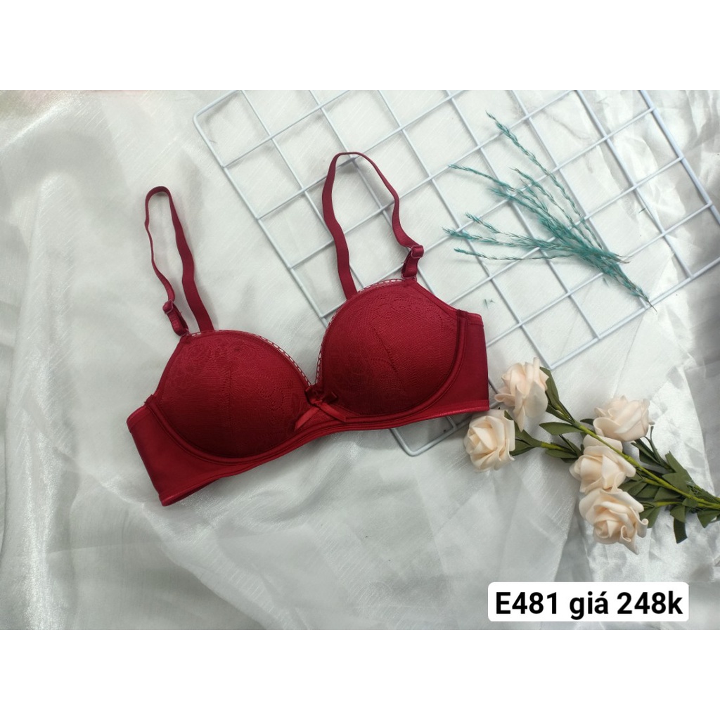 Áo Ngực Không Gọng, Áo Lót Mút Vừa E481 - Thương Hiệu 12H
