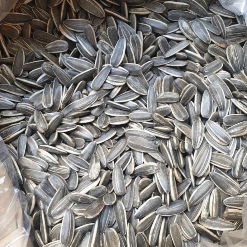 Hạt hướng dương giòn Ngon loại 1 [FREE SHIP] TỪ ĐƠN 50K, [Loại Đặc Biệt]