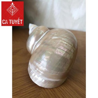 Vỏ ốc khảm xanh mài xà cừ, quà lưu niệm đẹp