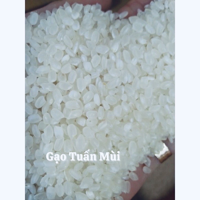 Gạo Nhật Hạt Tròn Gạo làm SUSHI ( Túi 10Ky )